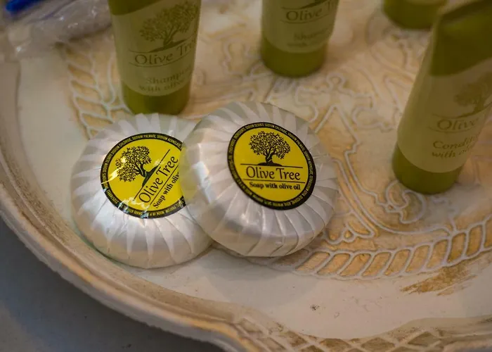 Syrma Lejlighed Pachaina